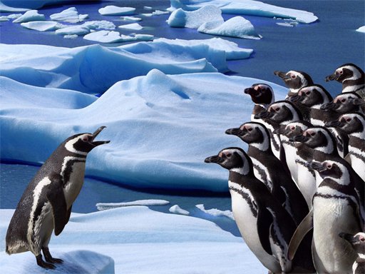 Penguins Slide Game