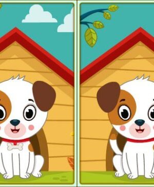 Spot 5 Differences game